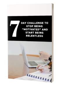 (PLR) The Art Of Extreme Success